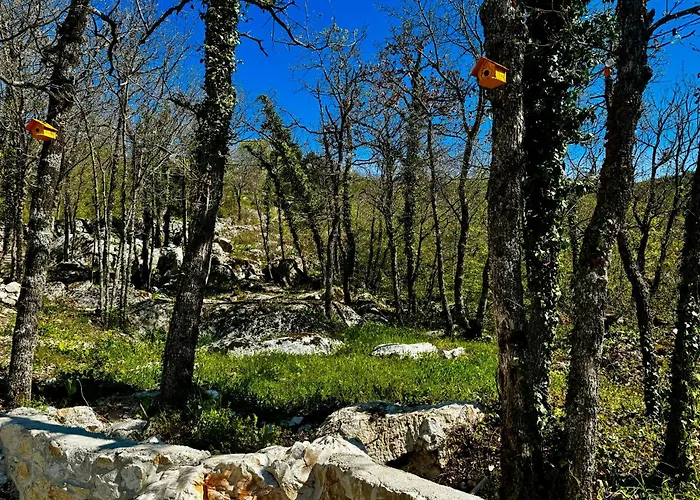 Luxury Villa Andrea Vrzika In Forest Near The Sea