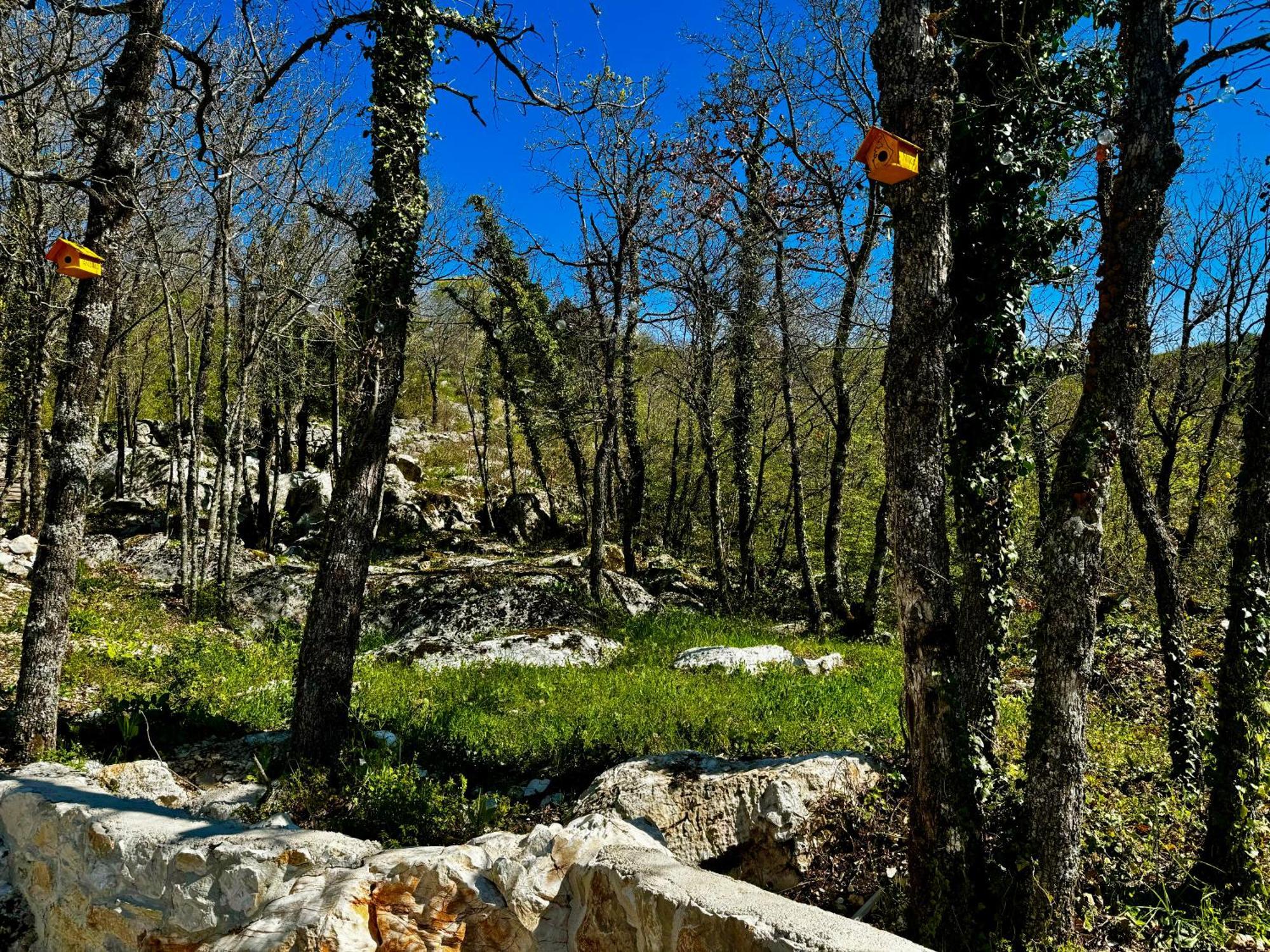 Villa Luxury Andrea Vrzika In Forest Near The Sea *
